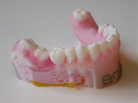 Bone 3D choisi l'imprimante 3D multi-matériaux, multi-couleurs de Stratasys