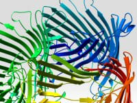 Dassault Systèmes et le groupe pharmaceutique Ipsen signent un accord de collaboration