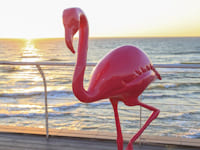 Impression 3D grand format : croissance record de Massivit 3D